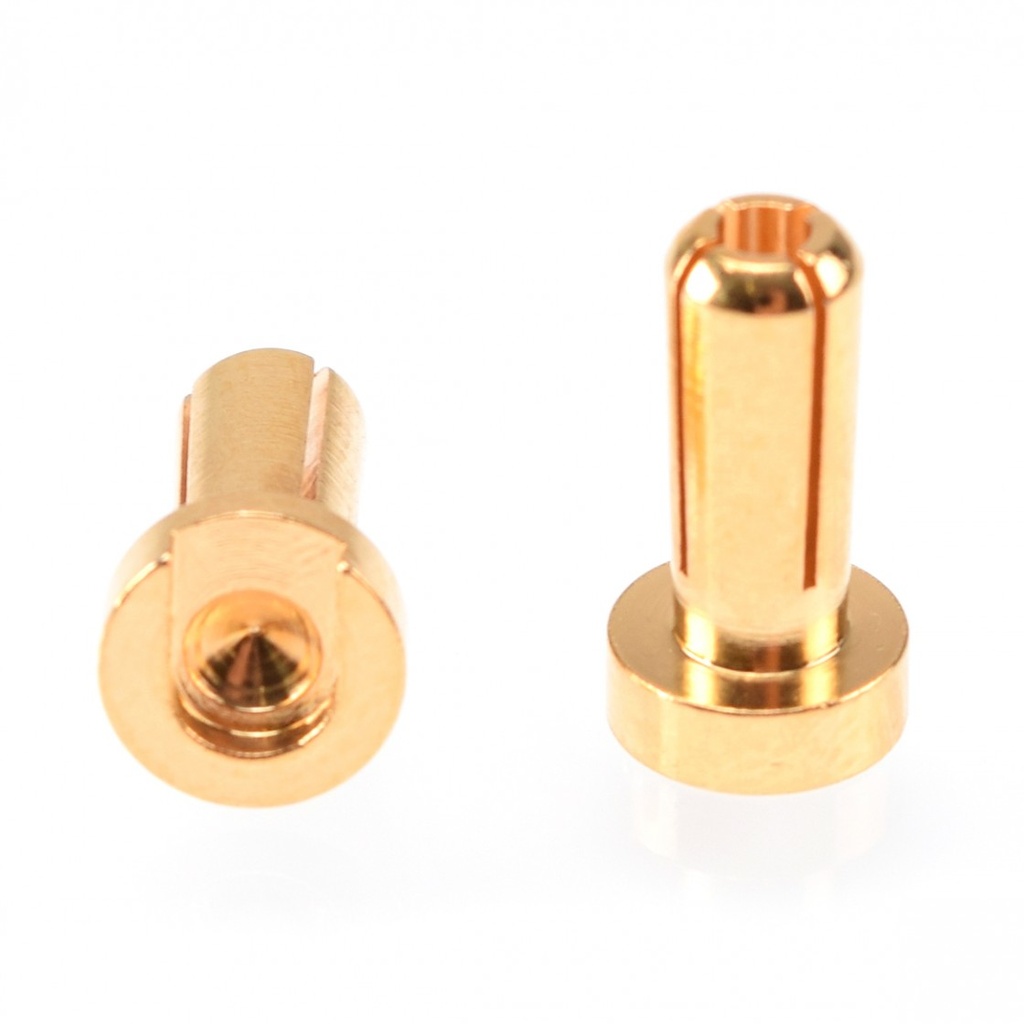 [RP-0181] RUDDOG 4mm Gold Plug Male 12mm (2pcs)